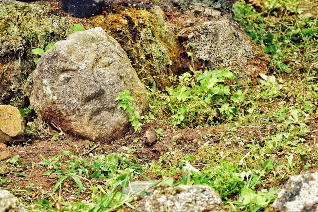 Pazo Revel Hotel & Resort Comarca de Comarca de Pontevedra Buitenkant foto
